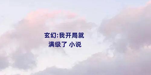 玄幻:我开局就满级了 小说